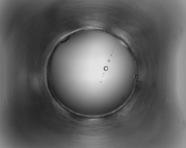 X0000089391471200706151213