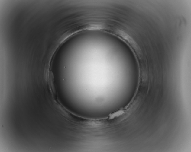 X0000089391473200706151213
