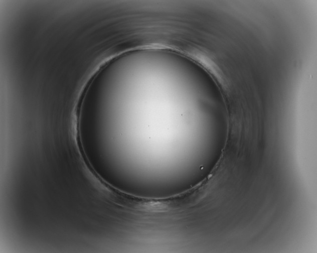 X0000089391476200706151213
