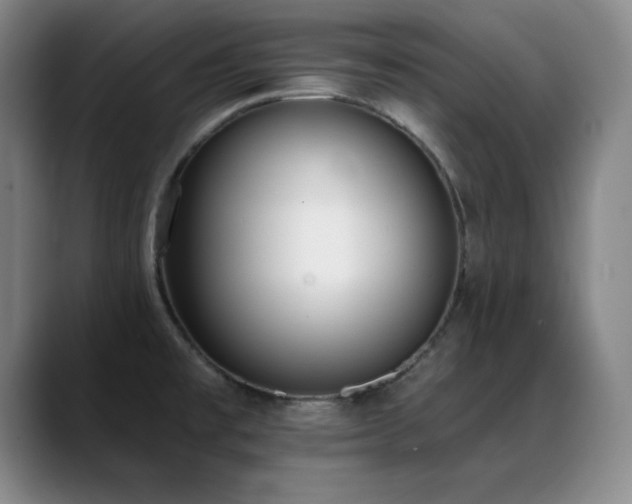X0000089391477200706151213