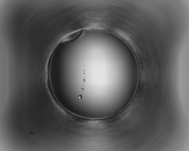 X0000089391479200706151213