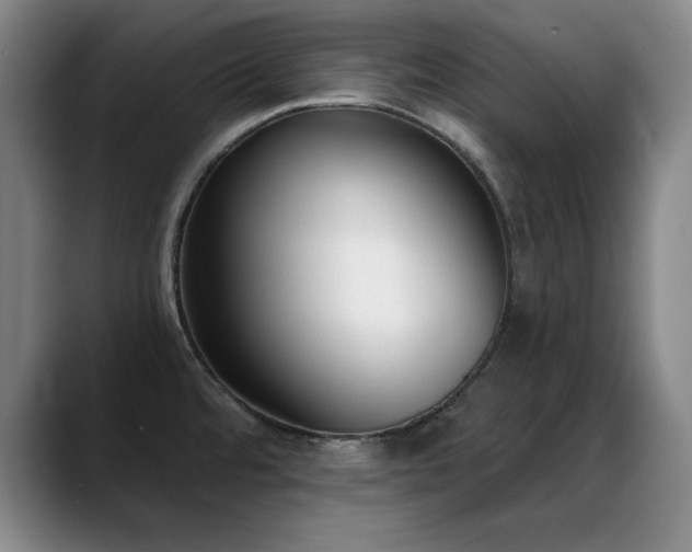 X0000089391480200706151213