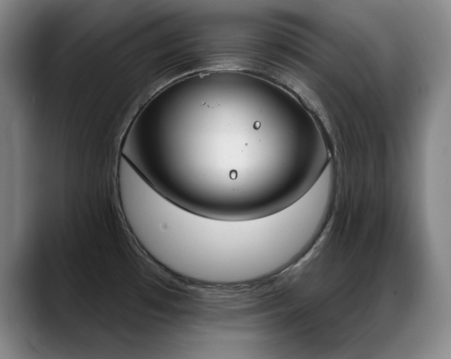 X0000089391481200706151213