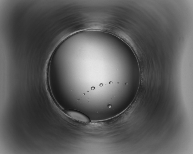 X0000089391483200706151213