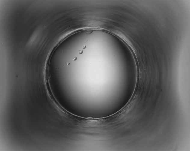 X0000089391485200706151213
