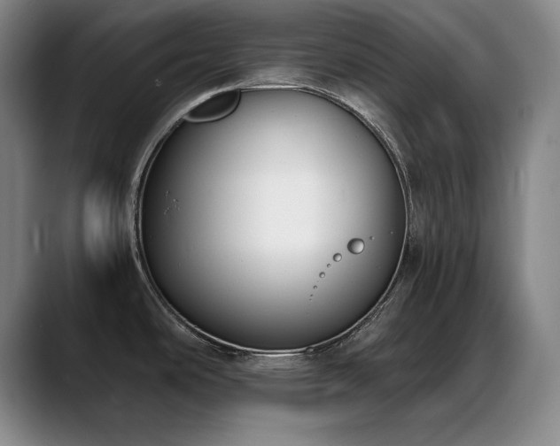 X0000089391486200706151213