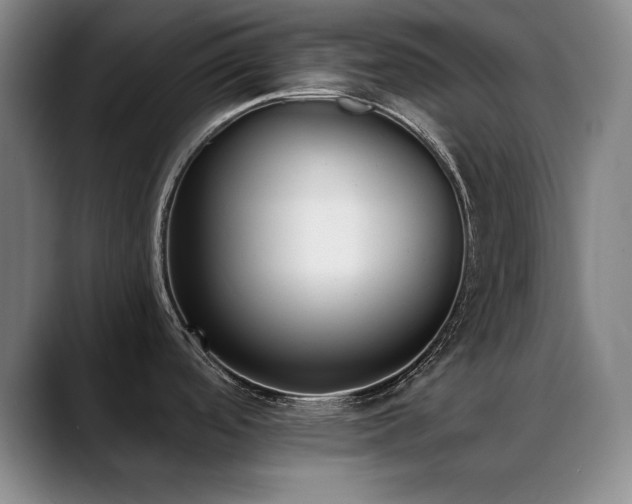 X0000089391488200706151213