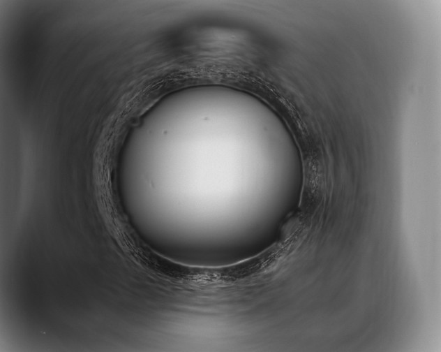 X0000089391489200706151213