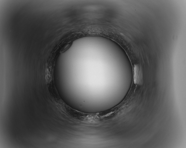 X0000089391491200706151213