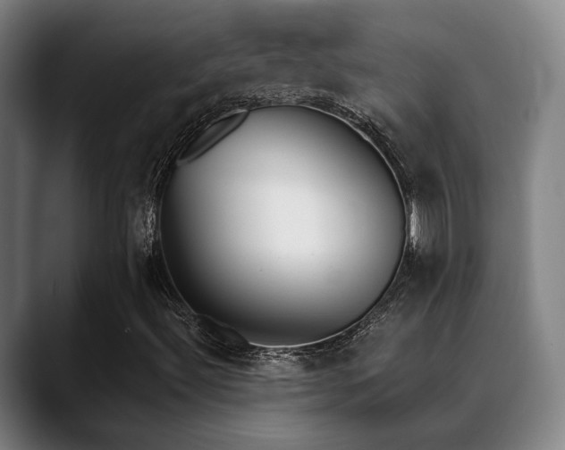 X0000089391492200706151213