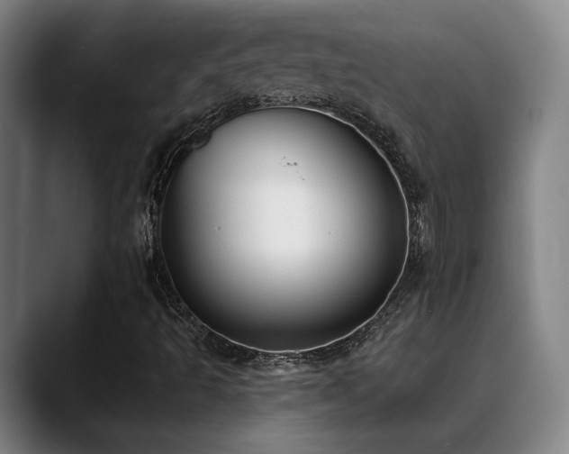 X0000089391493200706151213