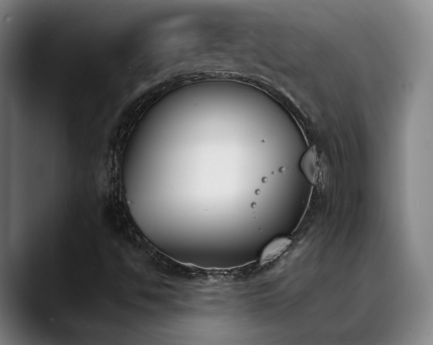 X0000089391494200706151213