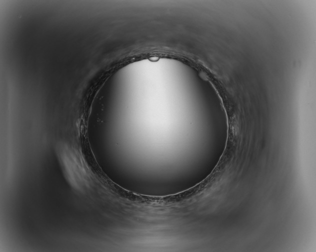 X0000089391495200706151213