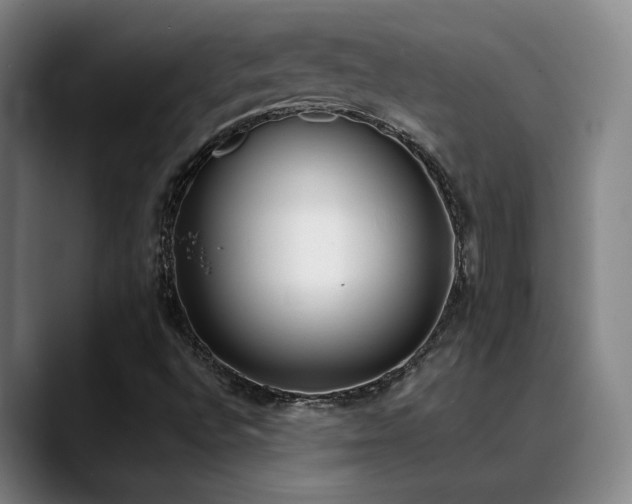 X0000089391496200706151213