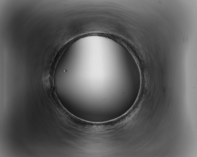 X0000089391497200706151213