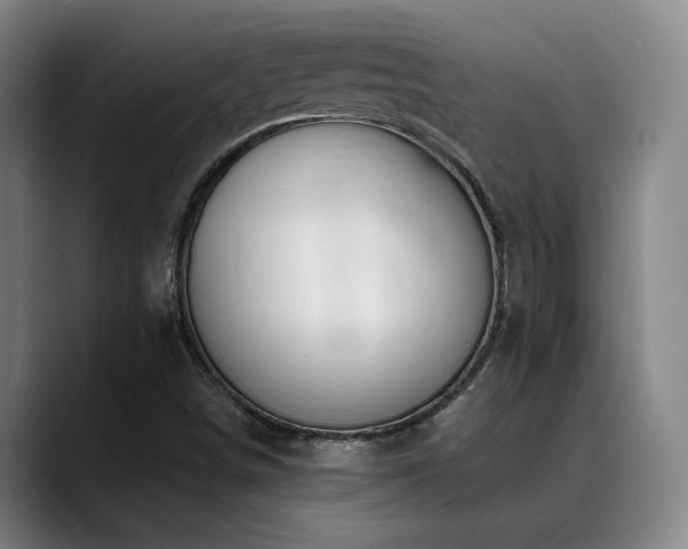 X0000089391498200706151213