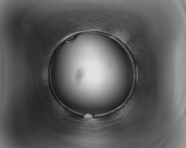 X0000089391500200706151213