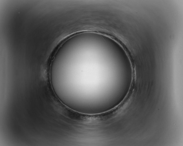 X0000089391501200706151213