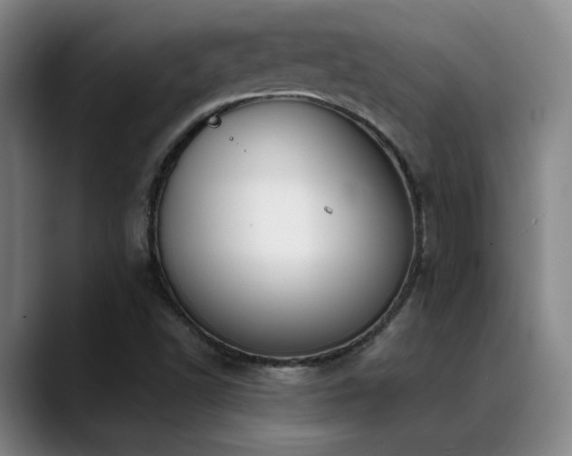 X0000089391502200706151213