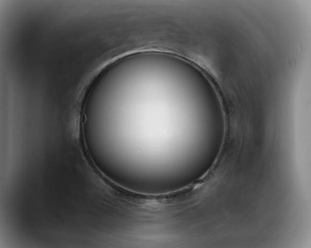 X0000089391504200706151213