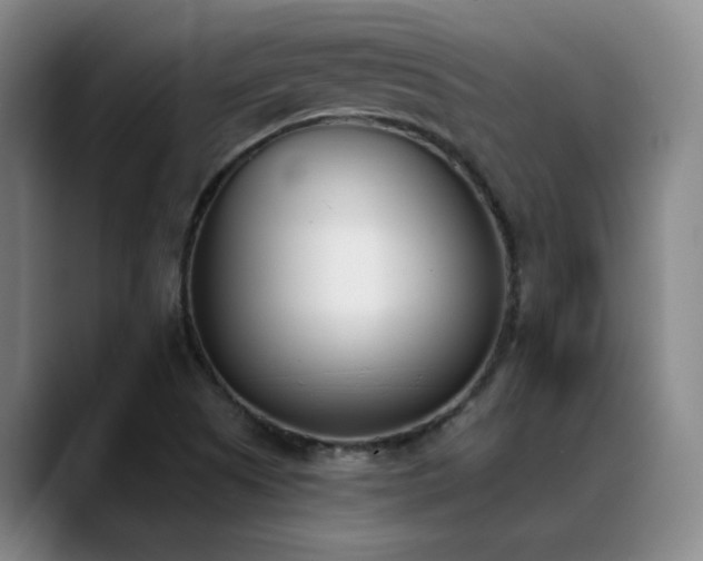 X0000089391505200706151213