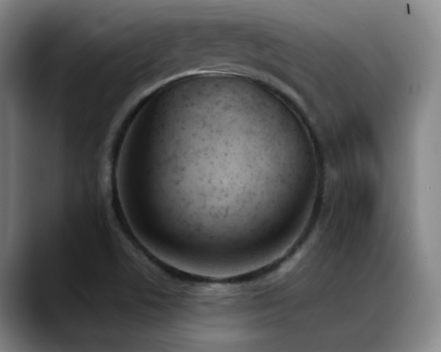 X0000089391506200706151213