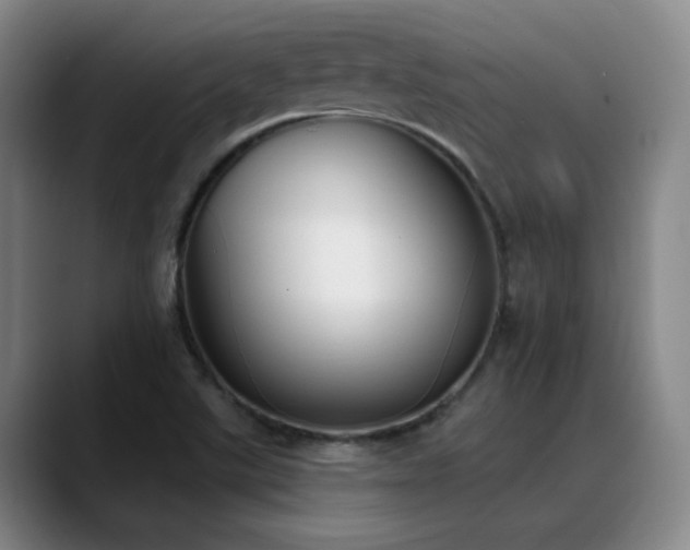 X0000089391507200706151213