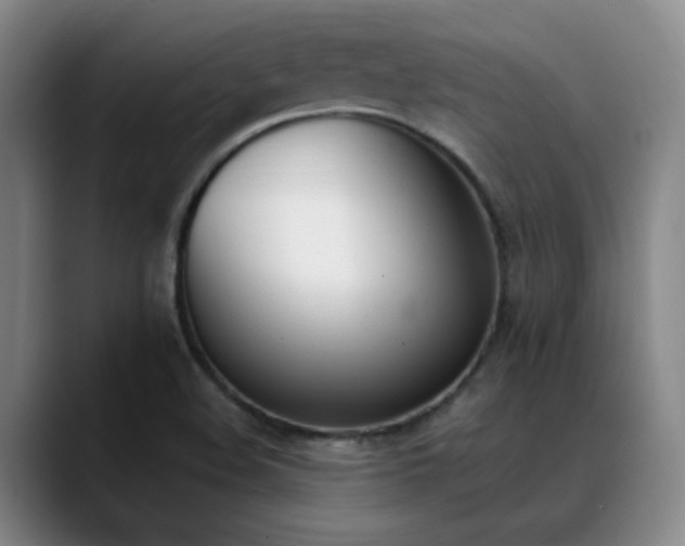 X0000089391508200706151213