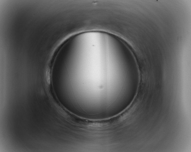 X0000089391510200706151213