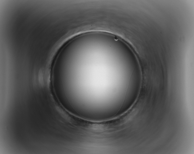 X0000089391511200706151213