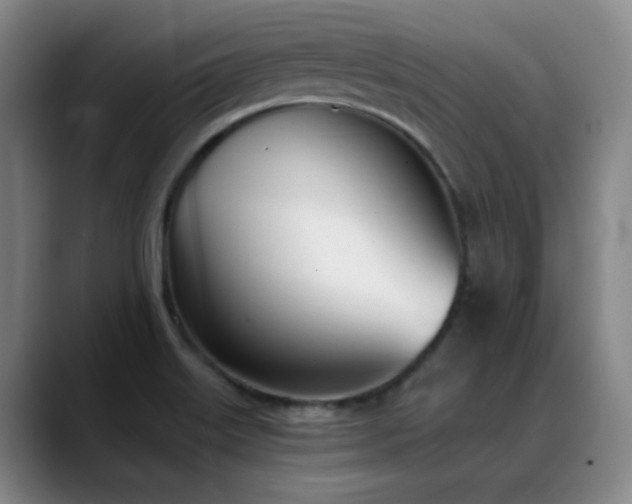 X0000089391515200706151213