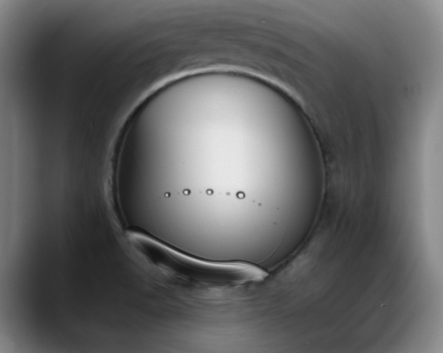 X0000089391518200706151213