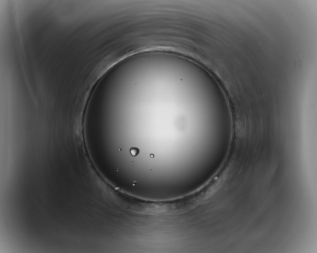 X0000089391521200706151213