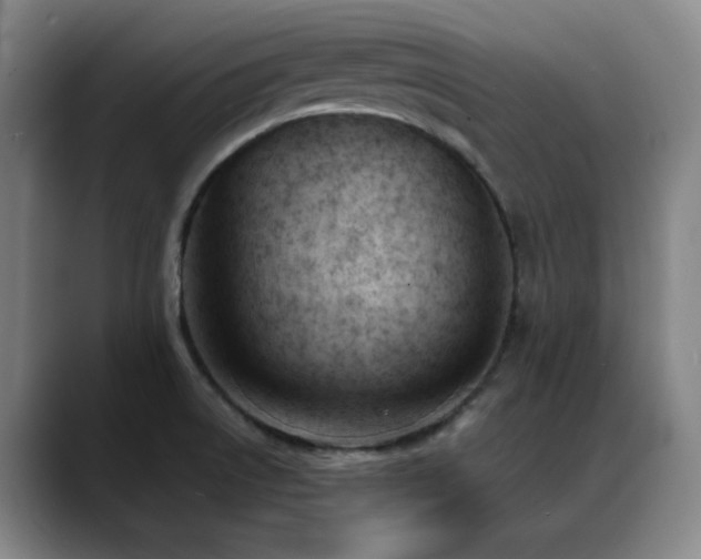 X0000089391522200706151213