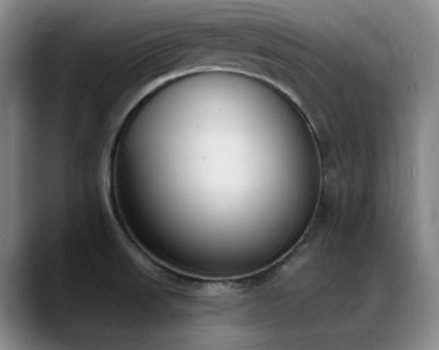 X0000089391523200706151213
