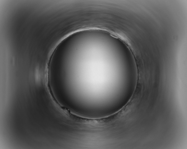 X0000089391524200706151213
