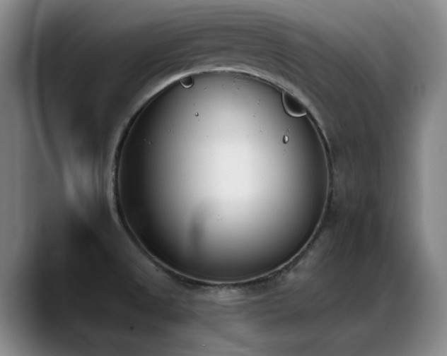 X0000089391525200706151213