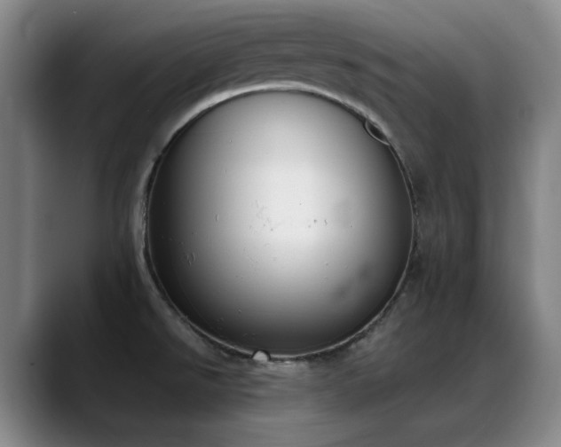 X0000089391526200706151213
