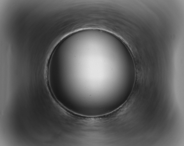 X0000089391527200706151213