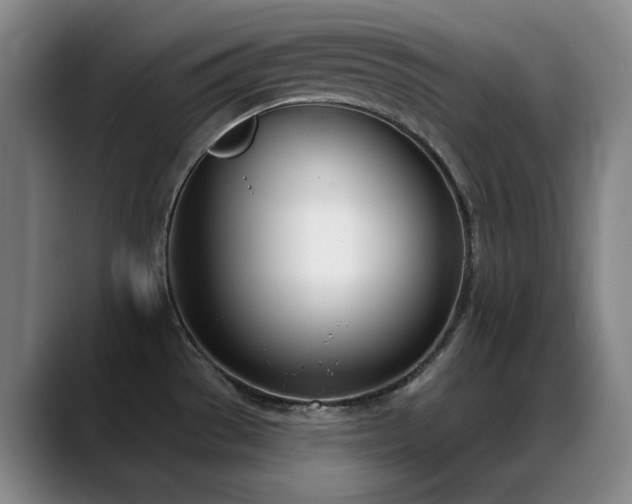 X0000089391529200706151213