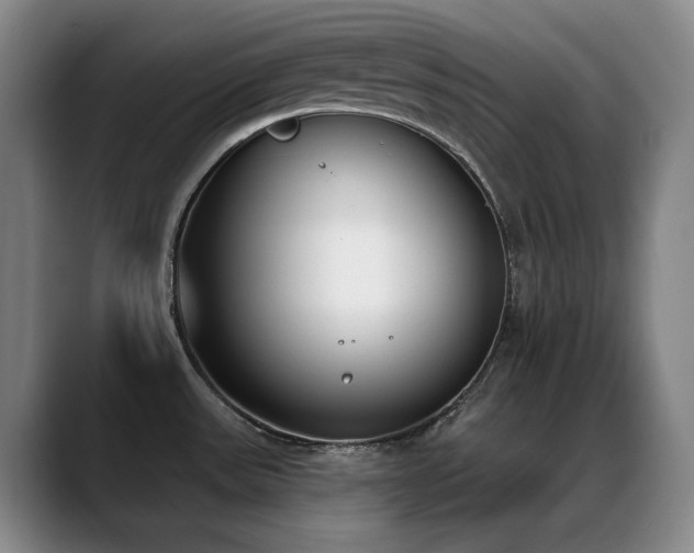 X0000089391531200706151213