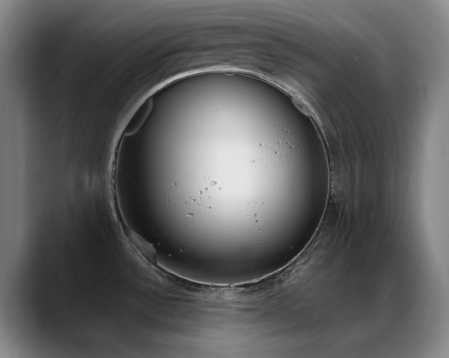 X0000089391532200706151213