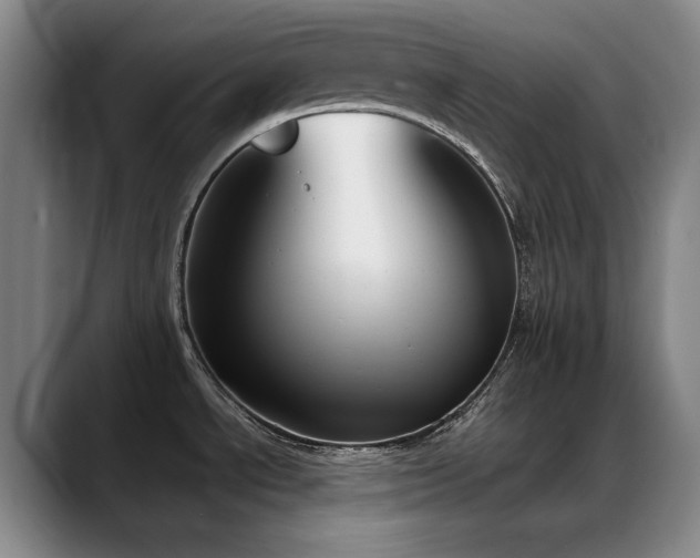 X0000089391534200706151213