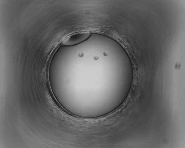 X0000089390002200706221328