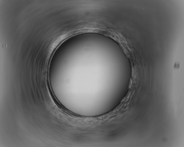 X0000089390003200706221328