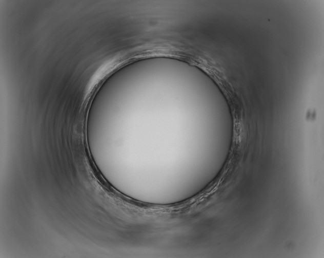 X0000089390004200706221328