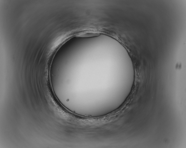 X0000089390005200706221328