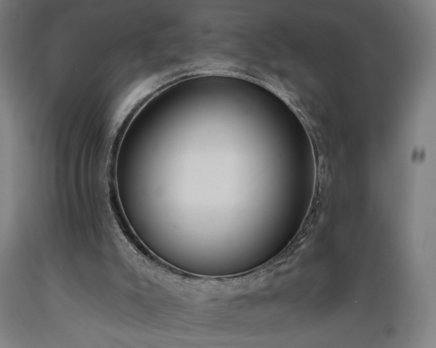 X0000089390007200706221328