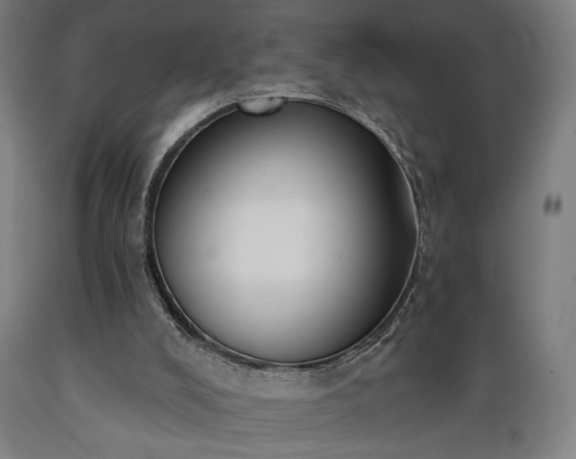 X0000089390008200706221328