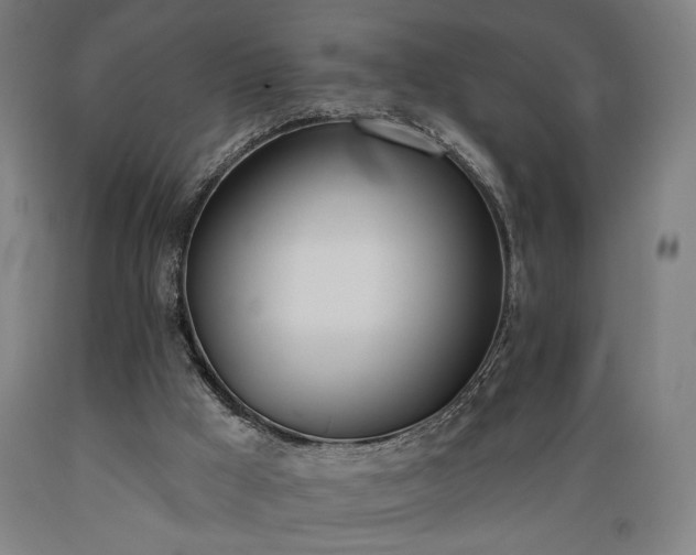 X0000089390009200706221328
